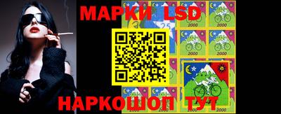 стаф Брянск