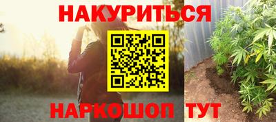 стаф Брянск