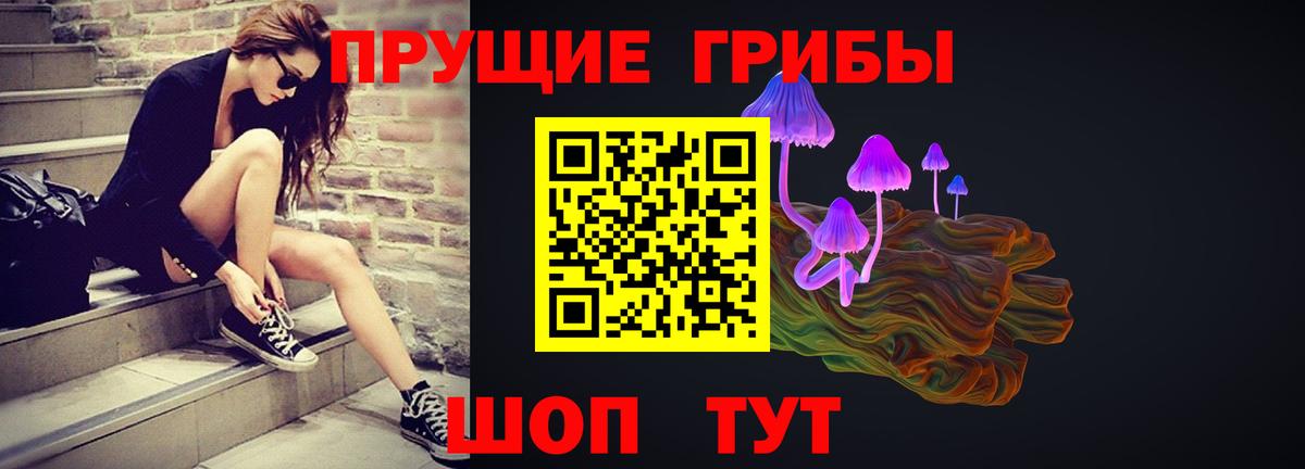 Псилоцибиновые грибы GOLDEN TEACHER  Галлюциногенные грибы мицелий  Россошь  Вход с VPN 