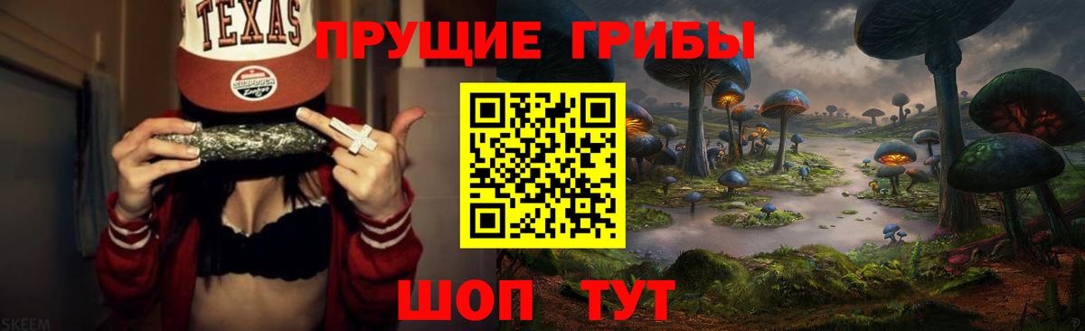 Псилоцибиновые грибы мицелий Россошь